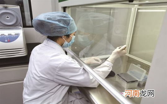 核酸检测48小时算当天吗