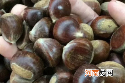 生板栗太干了怎么能把它发软