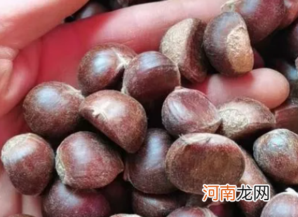 生板栗太干了怎么能把它发软