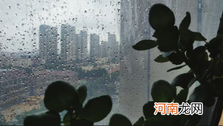 2022年厦门三月份雨水多吗