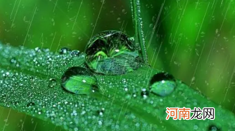 2022年雨水节气是哪一天