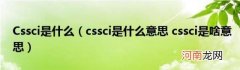 cssci是什么意思cssci是啥意思 Cssci是什么