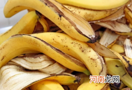 香蕉皮做花肥含氮磷钾哪种多