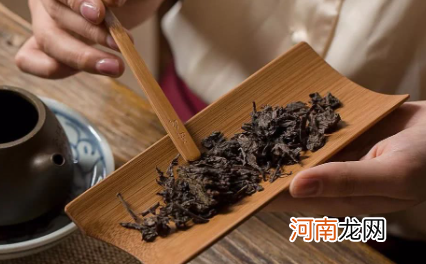 黑茶适合多少度的水温泡