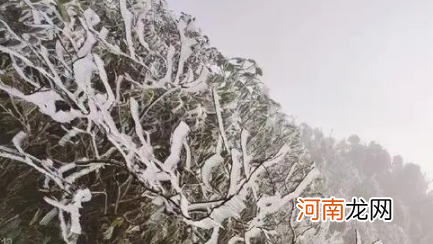 2022年春节桂林天气冷不冷多少温度