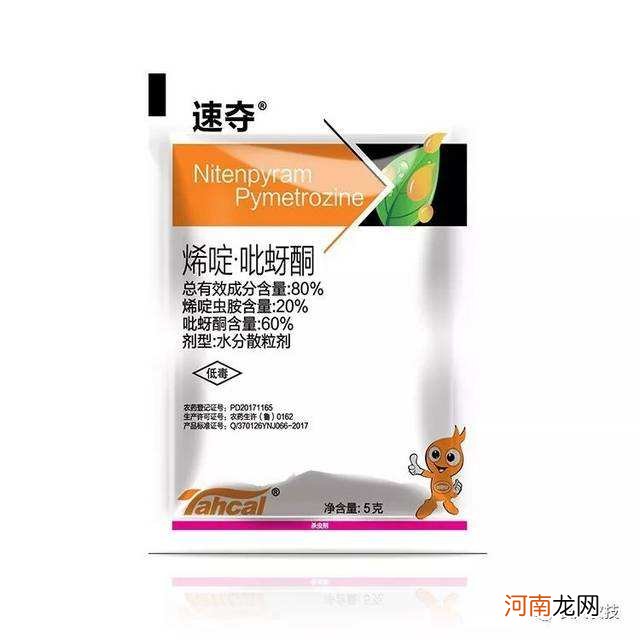 噻虫高氯氟还配不配吡虫啉 噻虫高氯氟打什么虫