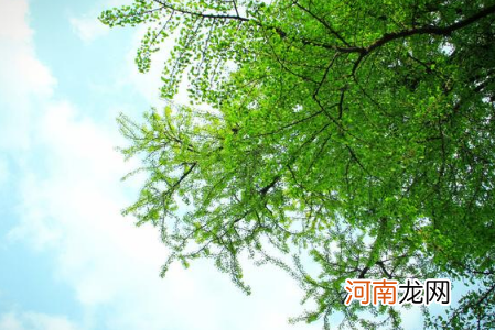 2022年打春农历哪一天