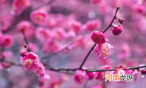 2022年打春农历哪一天