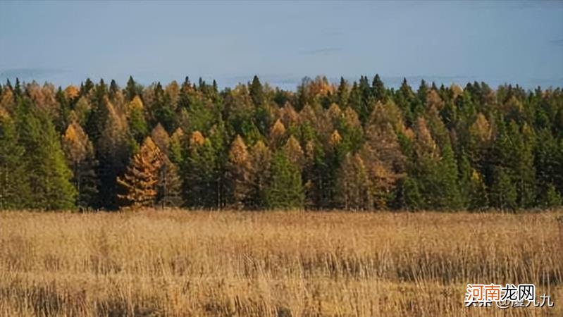 一个人的赚钱能力和什么有关?提升赚钱能力的最好方法!