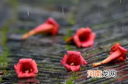 2022苏州秋冬雨水多吗