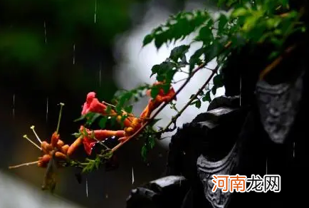 2022苏州秋冬雨水多吗