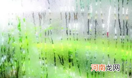 上海一年四季都潮湿吗