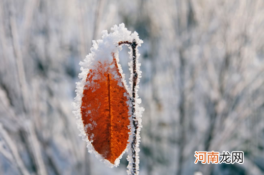 今年冬天北方雨雪多吗2021-2022