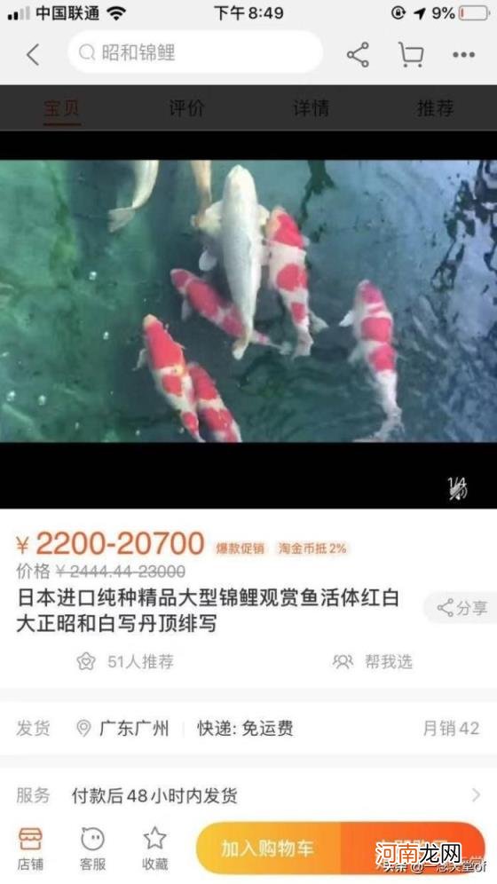 淘宝经营的主要业务是什么,新手做淘宝什么类目比较容易爆?