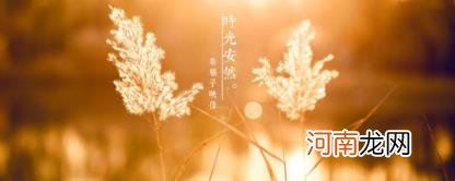 时光岁月如梭唯美句子