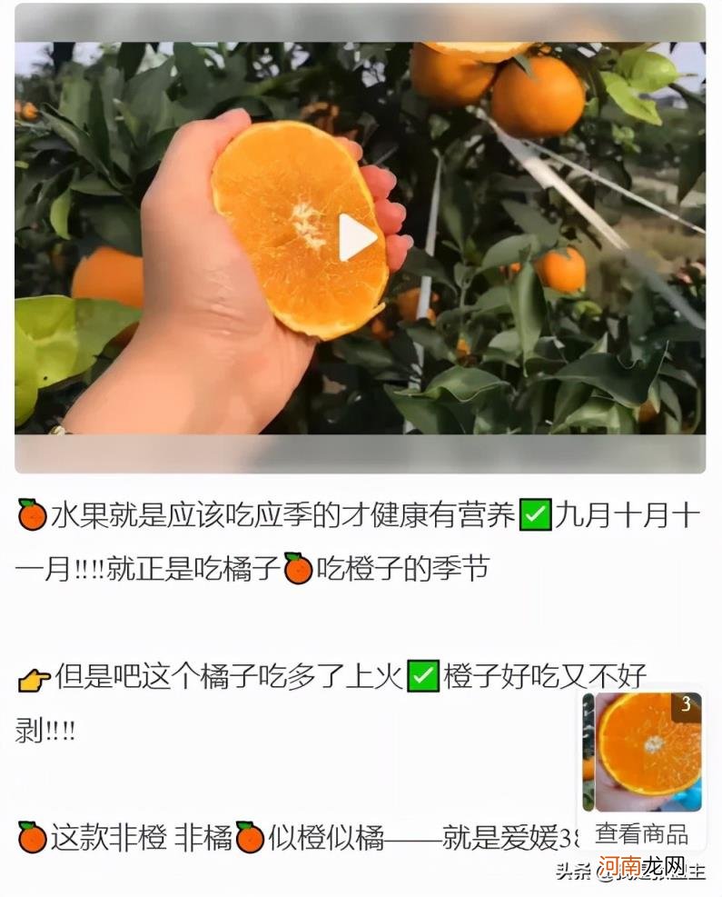 想团购怎样操作，如何做一个完美的团购？