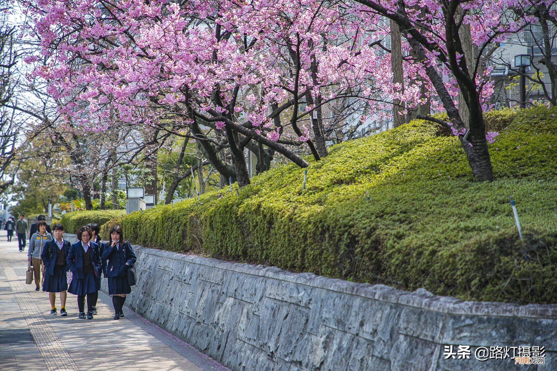 全球最适合居住的城市排名 适合居住的十大城市