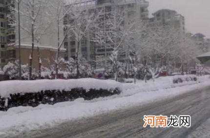 东北下暴雪高速会封路吗