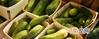 黄瓜晒干做法
