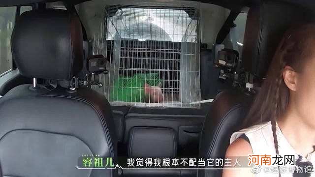 猪配不配 猪和猪配么