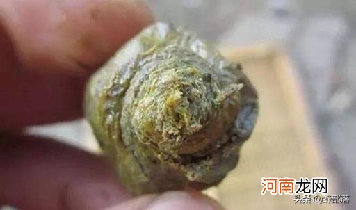 蜂胶和蜂王浆哪个更适合女性 蜂胶和蜂王浆的区别