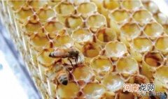 蜂胶和蜂王浆哪个更适合女性 蜂胶和蜂王浆的区别