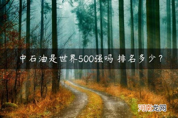 排名多少？ 中石油是世界500强吗