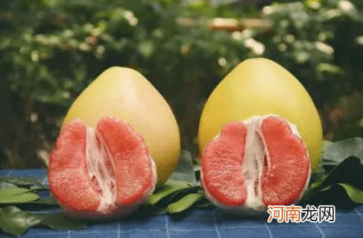柚子肉外面的薄皮叫什么