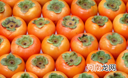 柿子是热性还是凉性
