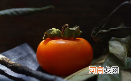 柿子的功效与作用有哪些