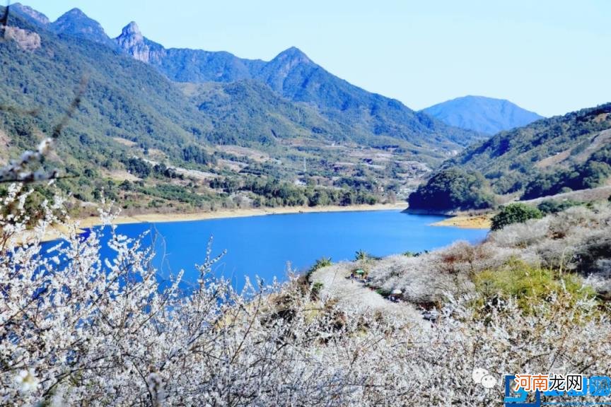 从化旅游景点大全排名 十大最美森林旅游目的地