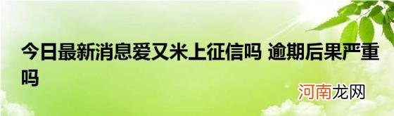 今日最新消息爱又米上征信吗逾期后果严重吗