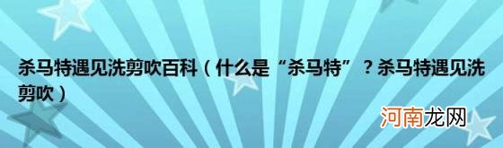 什么是“杀马特”？杀马特遇见洗剪吹 杀马特遇见洗剪吹百科