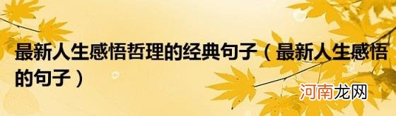 最新人生感悟的句子 最新人生感悟哲理的经典句子