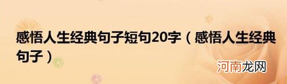 感悟人生经典句子 感悟人生经典句子短句20字