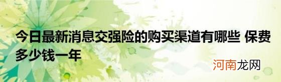 今日最新消息交强险的购买渠道有哪些保费多少钱一年