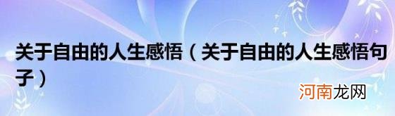 关于自由的人生感悟句子 关于自由的人生感悟