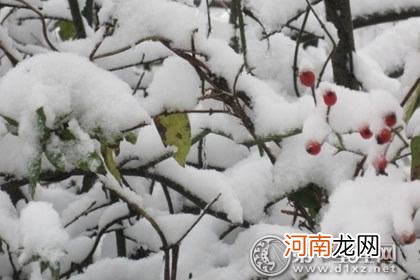 周公解梦梦见下雪 周公解梦梦见下雪是什么意思