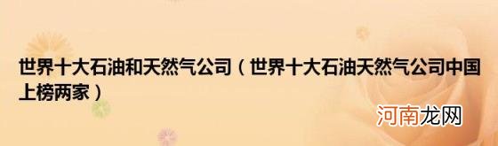 世界十大石油天然气公司中国上榜两家 世界十大石油和天然气公司