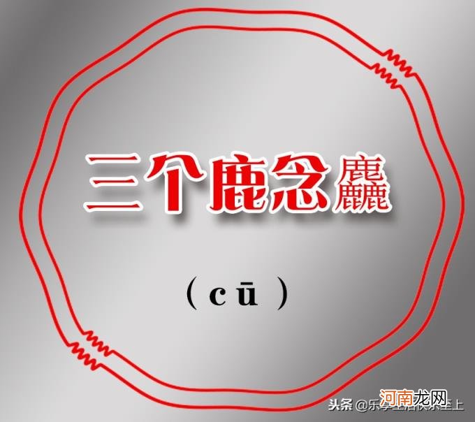 三个鹿念什么 三个马念什么