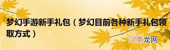 梦幻目前各种新手礼包领取方式 梦幻手游新手礼包