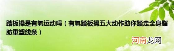 有氧踏板操五大动作助你踏走全身脂肪重塑线条 踏板操是有氧运动吗