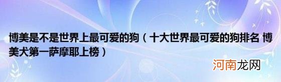 十大世界最可爱的狗排名博美犬第一萨摩耶上榜 博美是不是世界上最可爱的狗