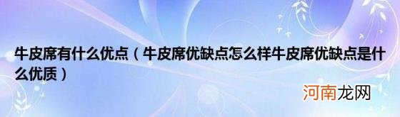 牛皮席优缺点怎么样牛皮席优缺点是什么优质 牛皮席有什么优点