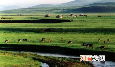 2022五一内蒙古草原绿了吗