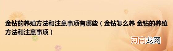 金钻怎么养金钻的养殖方法和注意事项 金钻的养殖方法和注意事项有哪些