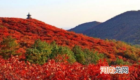 2021香山红叶在哪里看最美