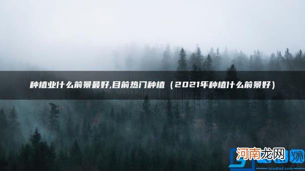 2021年种植什么前景好 种植业什么前景最好,目前热门种植