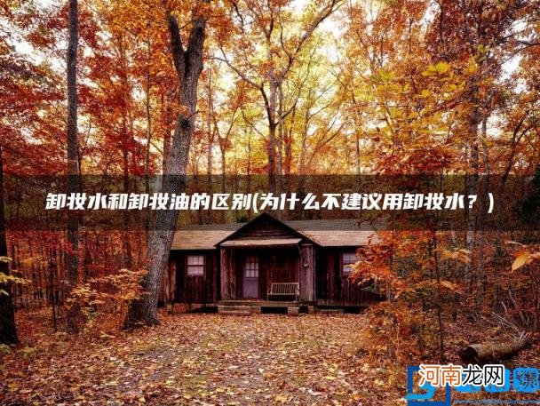 卸妆水和卸妆油的区别 为什么不建议用卸妆水？