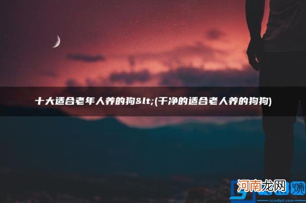 十大适合老年人养的狗&lt; 干净的适合老人养的狗狗